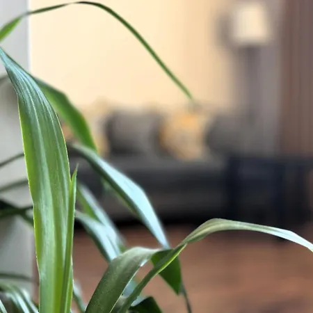 Airport Amber * Varşova