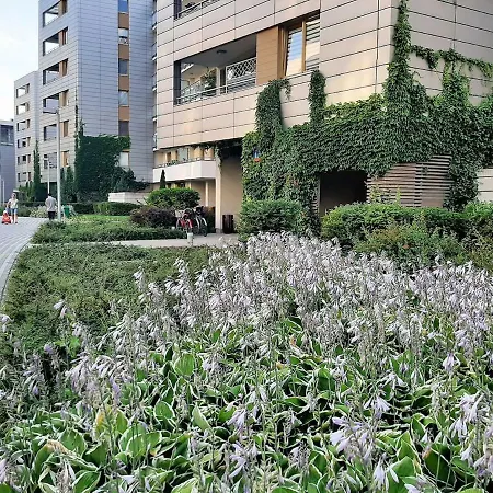 Daire Airport Amber *